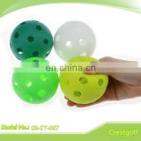 Colorful and Durable Pickle Balls