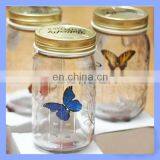 Beautiful Blue Red Color Artificial Butterfly in Jar Flying Freely thumbnail-1
