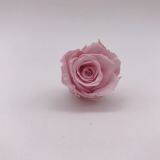 Preserved Rose for Wedding Festival Decoration thumbnail-1