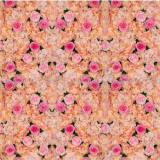 Artificial Silk Cloth Rose Flower Wall for Decoration thumbnail-1