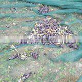 Harvest Olive Netting HDPE Warp Knitted Green Olive Gathering Net for Sale thumbnail-4