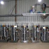 Factory Directly Sale Automatic Cold Press Kenya Small Avocado Oil Press Machine thumbnail-7