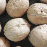 2020 Wholesaler Best Price 33 Walnuts Inshell for Sale thumbnail-5