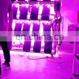 Factory Price 1000W Double Chips Full Spectrum LED Grow Lights  for Indoor Plants