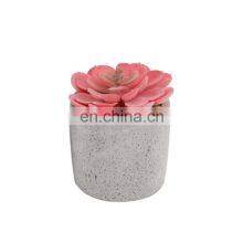 Wholesale Mini Home Decoration Plastic Fake Desk Pot Artificial Succulent Plants thumbnail-4