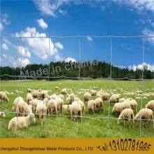 Grassland Fence/Field Fence/Galvanized Steel Mesh/ cattle Fence/annimal Fence/sheep Fence thumbnail-2