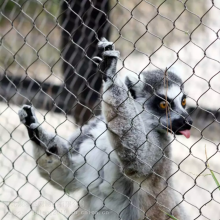 Factory Supply Stainless Steel Metal Security Fence for Animal Enclosure thumbnail-4