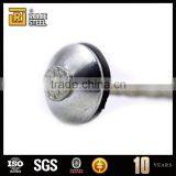 Umbrella Roofing Steel Nails/large Head Nail With Washer/Galvanized Roofing Nails
