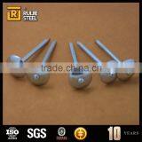 Smooth Common Nail/Galvanized Roofing Nails Quality Products thumbnail-2