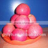 Fuji Apple Fruit thumbnail-1