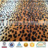 Velour Tracksuit for Men