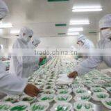 Xinxiang Huaxi Sanitary Materials Co., Ltd. company overview - view 2 thumbnail