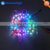35mm Ws2801 Programmable Led Festoon Christmas Lights