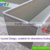 Strawberry Gutter thumbnail-5