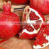 Fresh Egyptain Pomegranate thumbnail-1