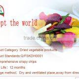 Healthy Snacks Mixed Vegetables and Fruit Chips thumbnail-2