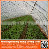 40 Mesh 50 Mesh100% Virgin Hdpe Greenhouse Insect Net , Plastic Vegetable Anti Insect Net , pe Agricultural Insect Proof Net thumbnail-4