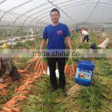 Amino Acids,Alginic Acid, Mannitol, Calcium(Ca)Liquid Soluble Fertilizer thumbnail-5