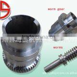 Worm Gear and Worm for Petroleum Machinery thumbnail-1