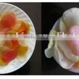 Best sell colored prawn crackers making machine /processing line //equipment/plant