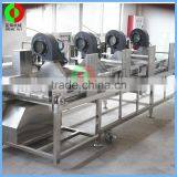Hot Selling Industry Air Blow Dehydration Machine for Vegetable and Fruits,automatic Air Blow Drying Conveyor thumbnail-5
