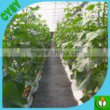 Popular New Material pp Woven Weed Control Mat thumbnail-3