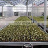 BaoLiDa Low Price Polyethylene Greenhouse Galvanized Steel Pipe Potato Greenhouse thumbnail-3
