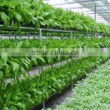 Vertical Farming Hydroponic Commercial System thumbnail-1