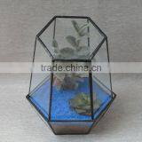 Micro Landscape Geometric Air Plant Succulent Glass Container Vase Pot Terrarium thumbnail-1