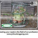 Pop-up Greenhouse Protects Shrubs,Small Trees,Bushes,Plants,Garden From Frost,Growing Tent,Grow Tent,Grow House thumbnail-3