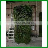 Artificial Garden Green Wall thumbnail-3