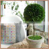 Green Preserved Boxwood Ball With White Potted thumbnail-1