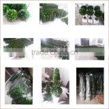 Preserved Boxwood Plants Topiary Factory thumbnail-1