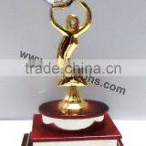 Wholesale Trophy thumbnail-1