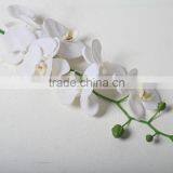 Plastic Butterfly Orchid Artificial Butterfly Orchid Decorative Flowers for Promotion thumbnail-4
