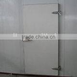 PU Cold Storage Door thumbnail-1