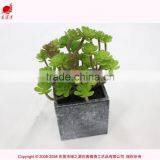 Artificial Tropical Plants in Pot Mini Green Plant Artificial Succulent for Garden Arrangement thumbnail-1