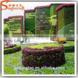 2016 Chinese Boxwood Hedge Artificial Landscape Topiary for Garden Decoration thumbnail-3