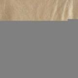 Sell Suede Fabric (Short Fur) thumbnail-1