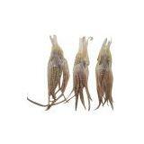 Sell Dried Squid Tentacle thumbnail-1