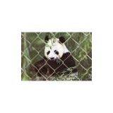 Sell Green Chain Link Fence (China (Mainland)) thumbnail-1