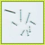 Galvanized Painted Head Self Drilling Screw Prices thumbnail-1