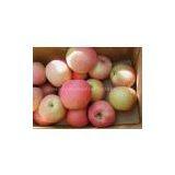 Qinguan Apple thumbnail-2