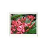 Eco- Solvent Adhesive pp Paper thumbnail-1