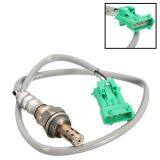 Oxygen Sensor 53cm Peugeot High Performance OEM: 96368765 thumbnail-2
