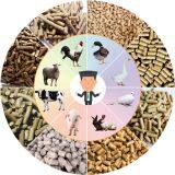 1-３Ｔ/Ｈ Pourltry Livestock Feed Pellet Processing Machine Plant , Pellet Feed Production Line thumbnail-5