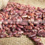 Purple Speckled Kidney Beans, 180-200, 200-220/100gr thumbnail-1