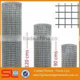 Galvanized Aviary Wire Mesh ( ISO 9001 Factory) thumbnail-2
