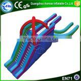Popular Amusement Largest Plastic Inflatable Water Slide for Kids and Adults Supplier's Choice thumbnail-3