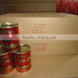 Top Quality Tinned Tomato Paste in Can Bright Red Color thumbnail-5